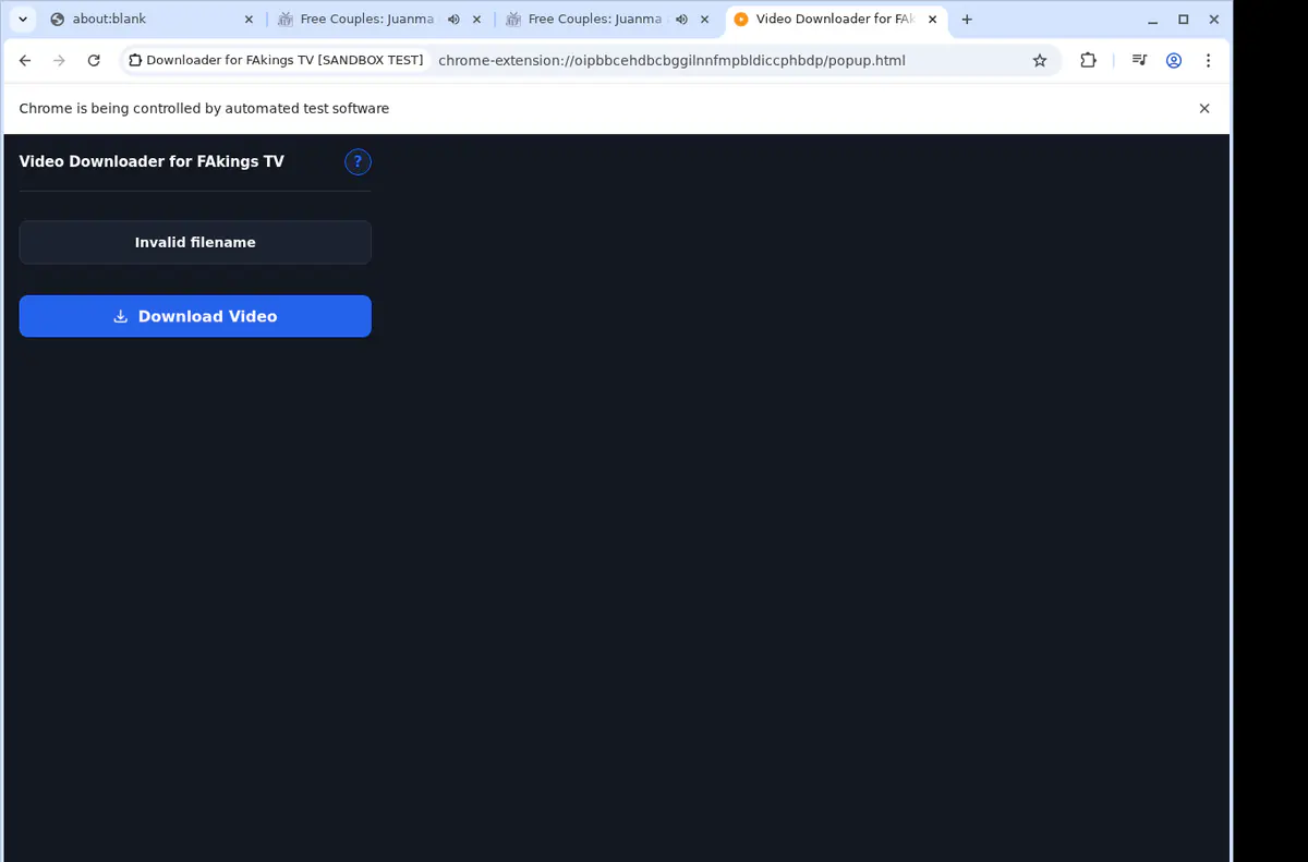 Fakingstv Video Downloader browser extension screenshot 2