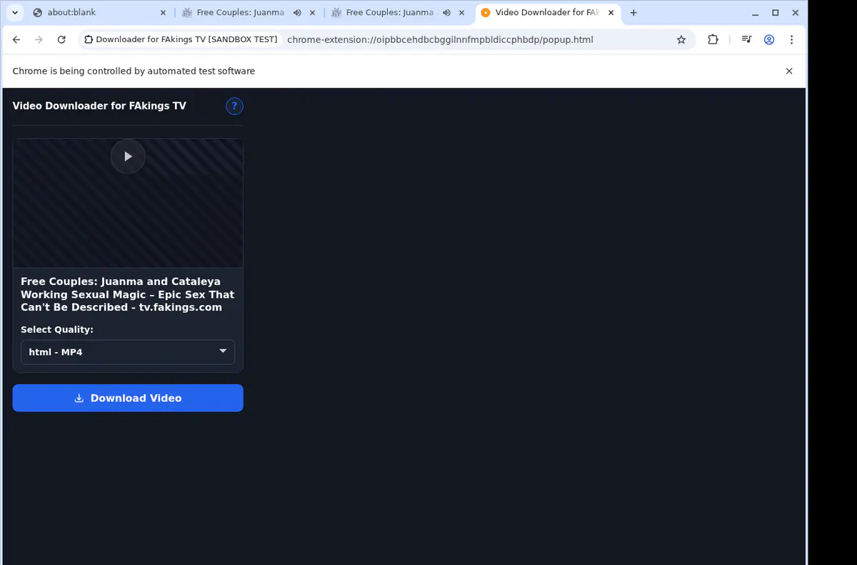 Fakingstv Video Downloader browser extension screenshot 4