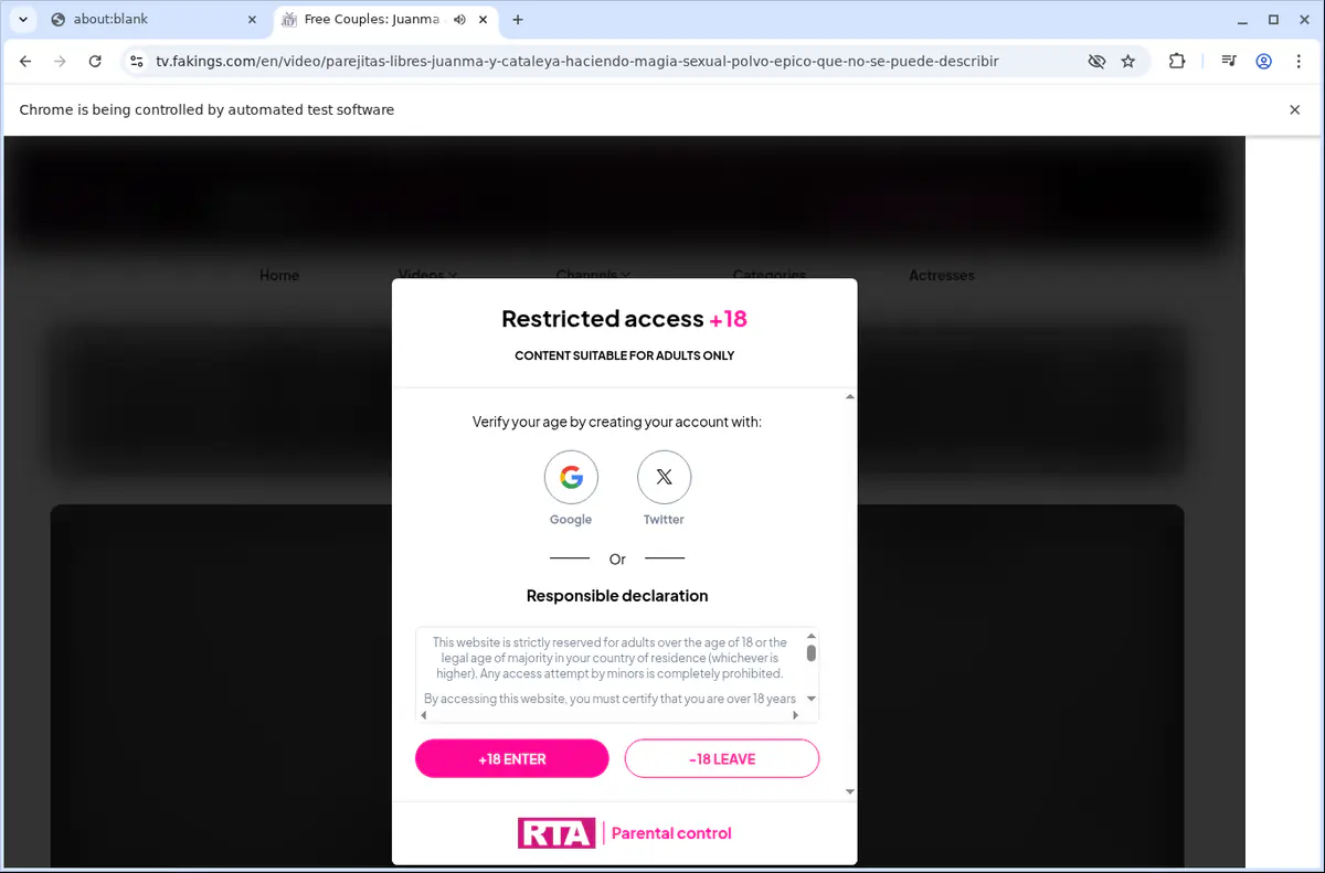 Fakingstv Video Downloader browser extension screenshot 5